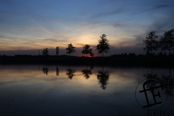 the sunset over a pond.