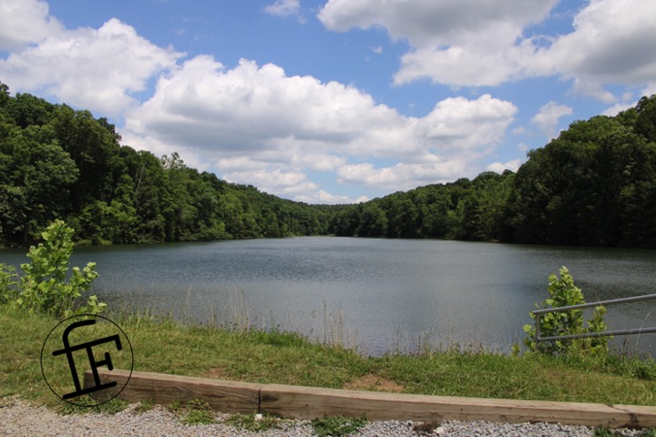 a long lake surrounded by trees.