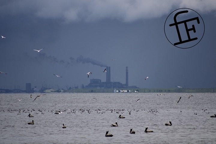 a distant industrial building past flying bird and across a body of water.